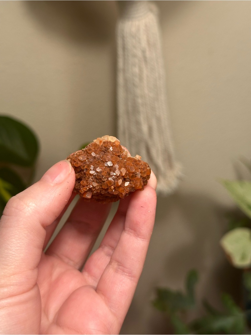 Sparkling Aragonite Crystal Cluster Star Brown with rare White Aragonite